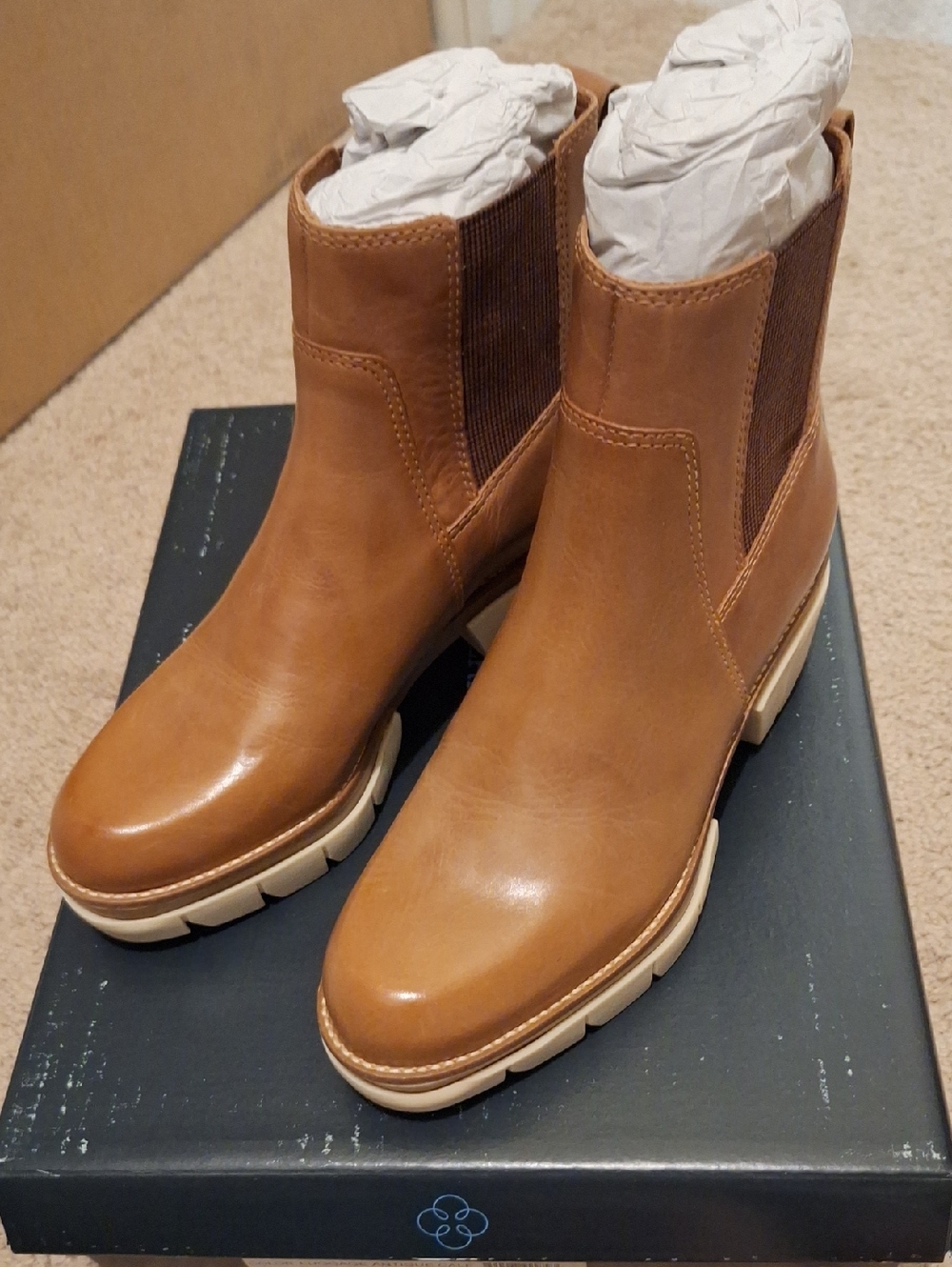 NWT BERNARDO SUTTON 6.5M